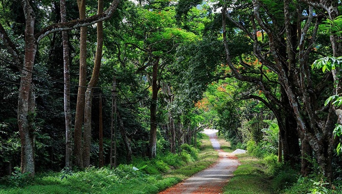 kinh nghiệm du lịch Ba Vì