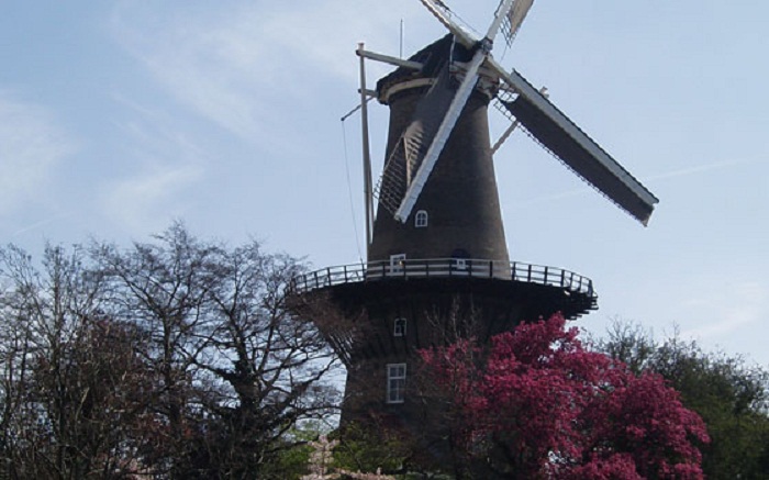 kinh nghiệm du lịch Leiden