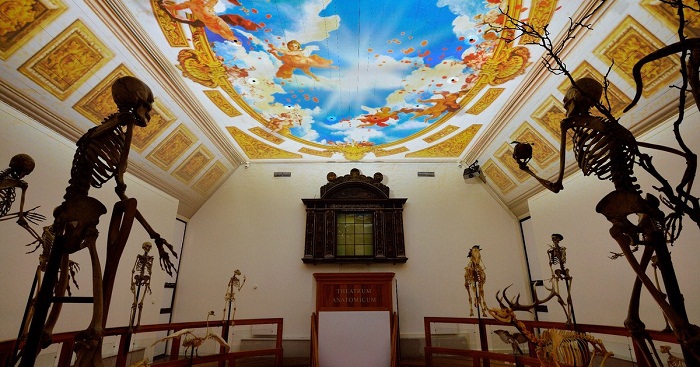 kinh nghiệm du lịch Leiden
