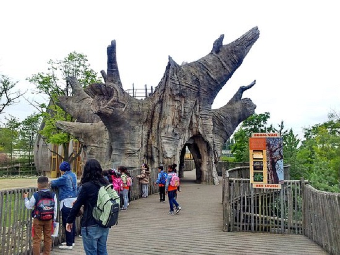 Kinh nghiệm du lịch Rotterdam