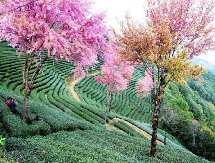 kinh nghiệm du lịch Vân Nam