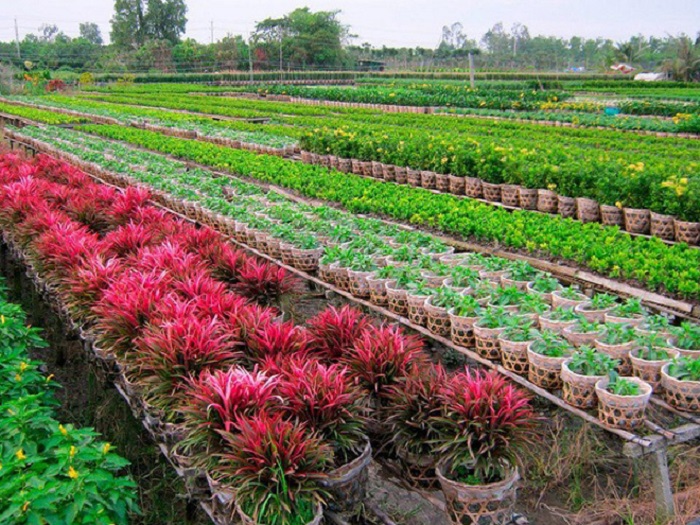 những địa điểm du lịch nổi tiếng tại Long An