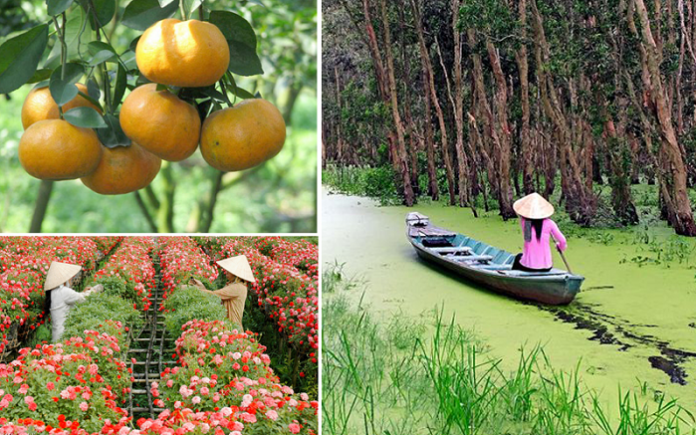 kinh-nghiem-du-lich-dong-thap-3 kinh nghiệm du lịch Đồng Tháp