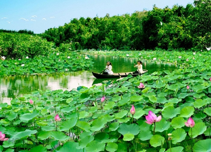 kinh nghiệm du lịch Đồng Tháp