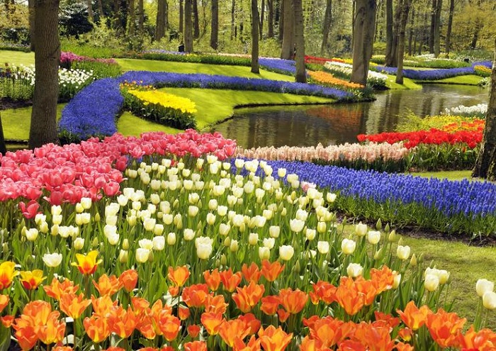 những địa điểm du lịch nổi tiếng tại Amsterdam