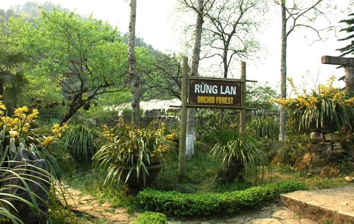 Ham Rong mountain tourism experience