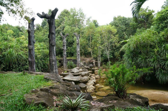 kinh nghiệm du lịch Suối Tranh