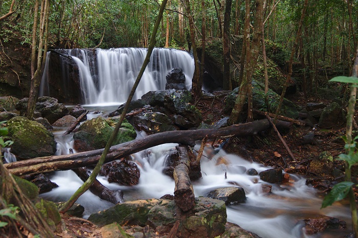 kinh nghiệm du lịch Suối Tranh