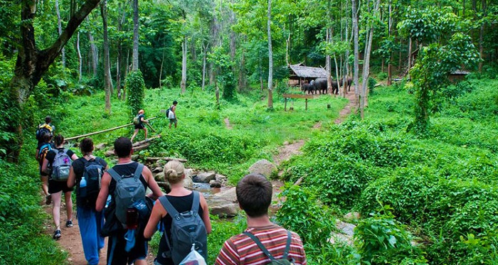 travel experience to Cuc Phuong National Park