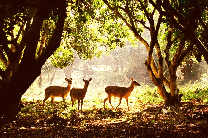 travel experience to Cuc Phuong National Park