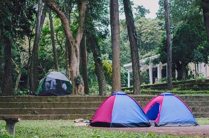 Camp at Cuc Phuong forest