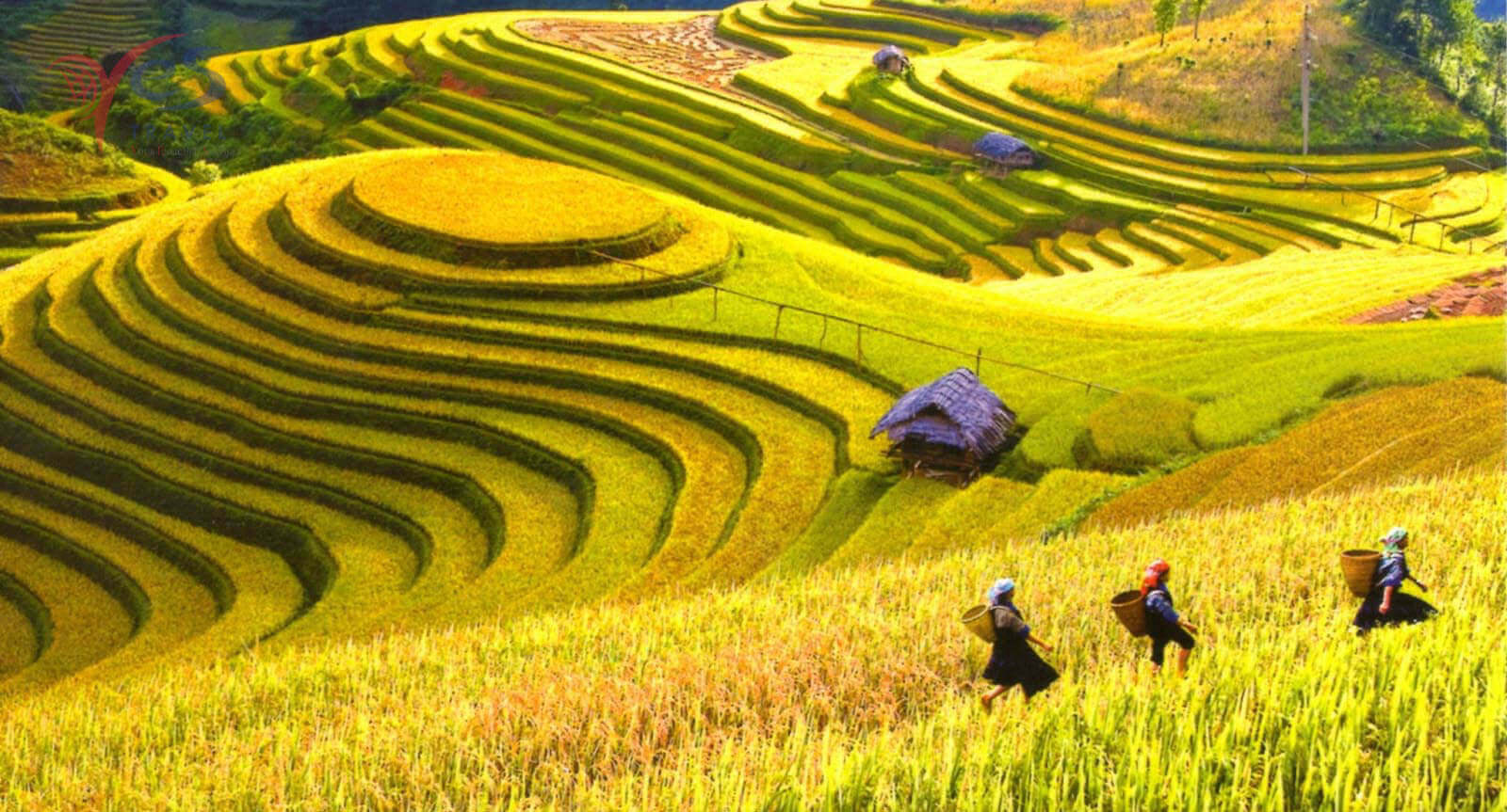 kinh nghiệm du lịch Mã Pí Lèng