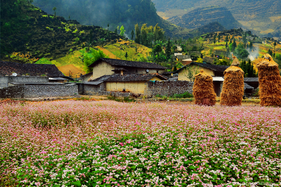 kinh nghiệm du lịch Đồng Văn