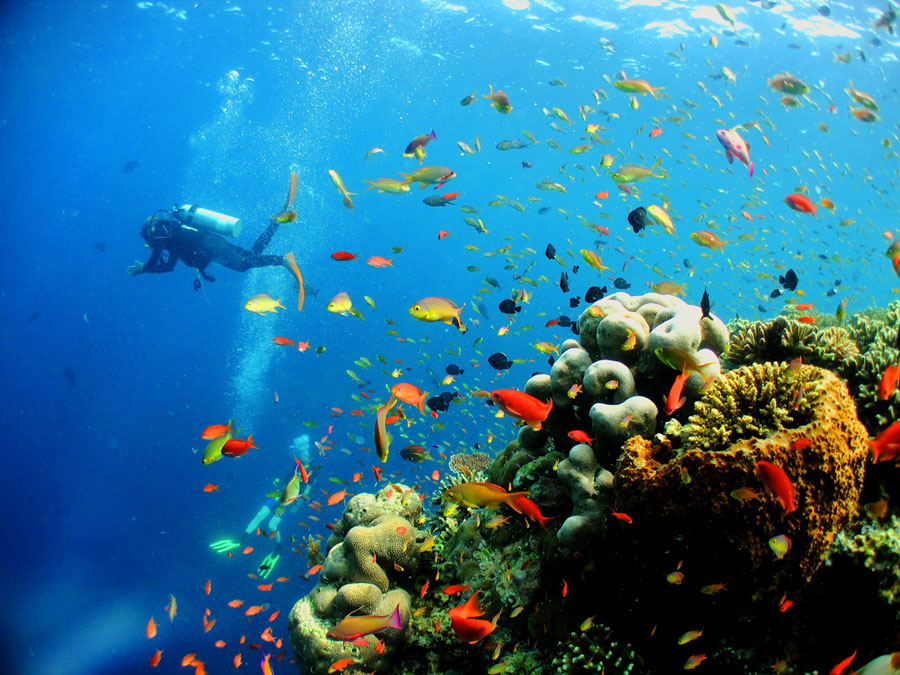 Công viên hải dương Pulau Payar