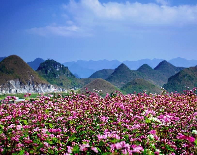 kinh nghiệm du lịch Quản Bạ