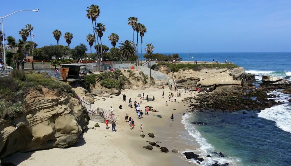 Bãi biển La Jolla Cove