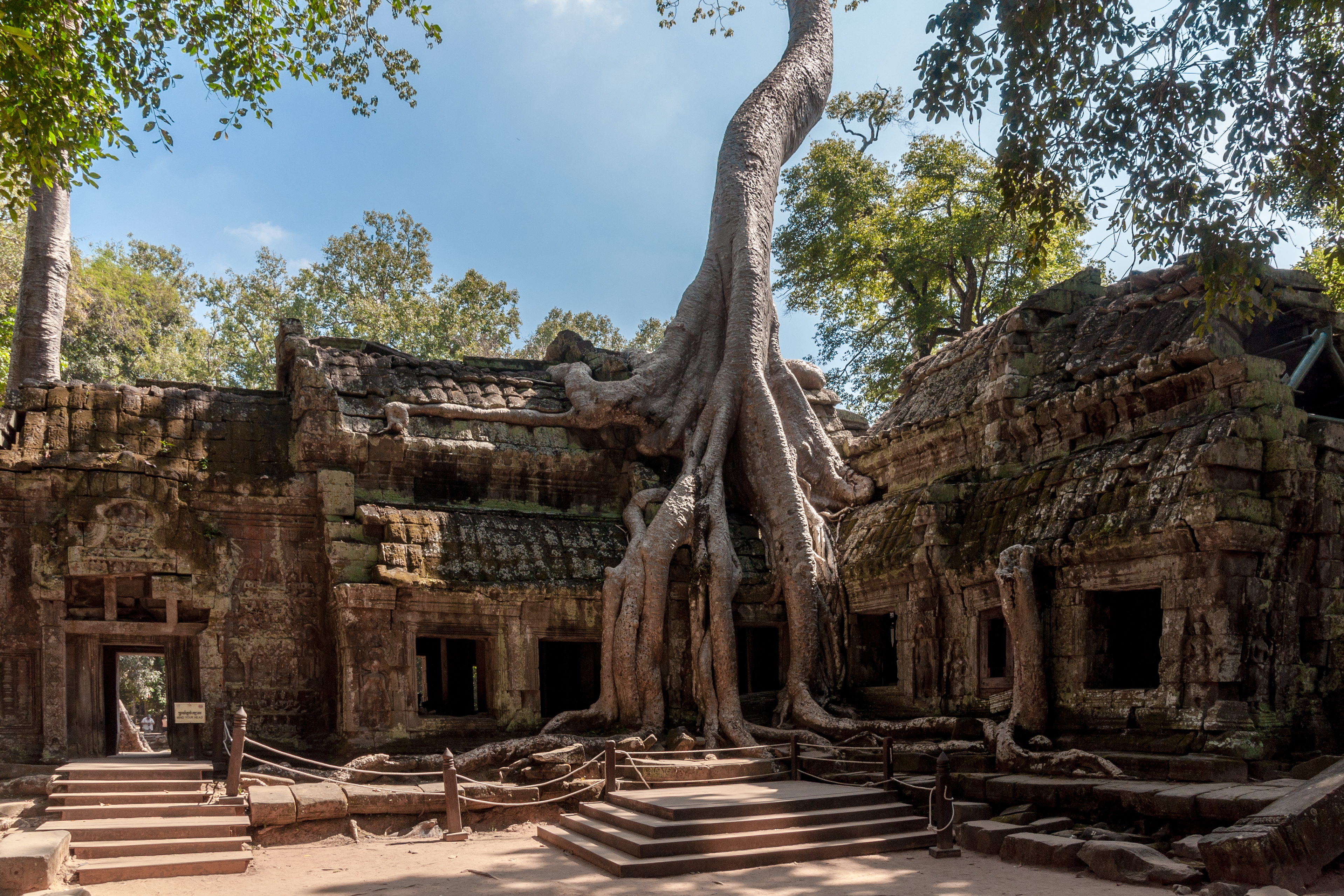 Ngôi đền Ta Prohm