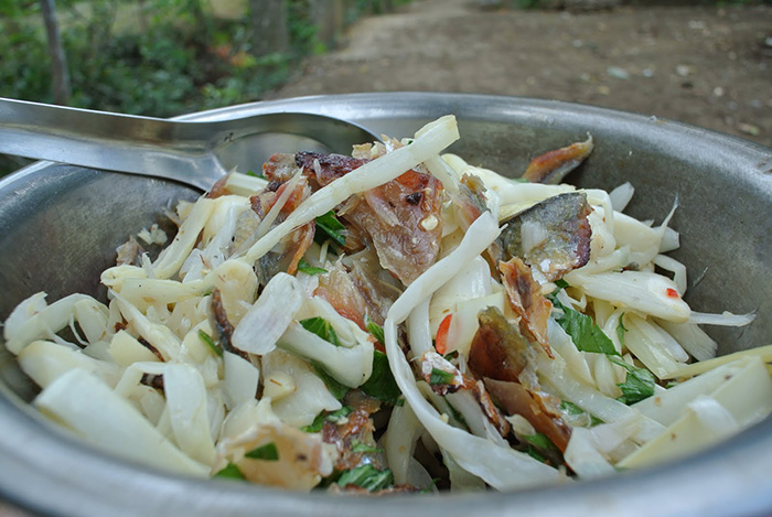 Từ cây bồn bồn người ta có thể chế biến thành nhiều món khác nhau