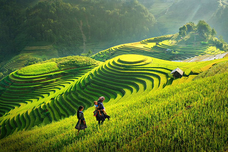 kinh nghiệm du lịch Hoàng Su Phì