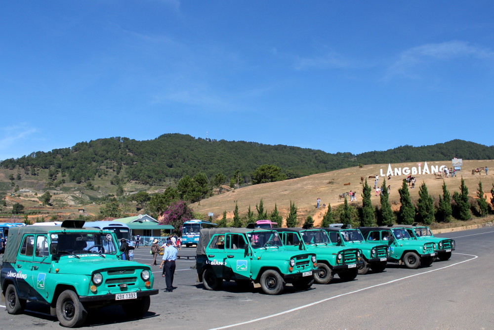 Những chiếc xe jeep đưa du khách lên đỉnh Langbiang