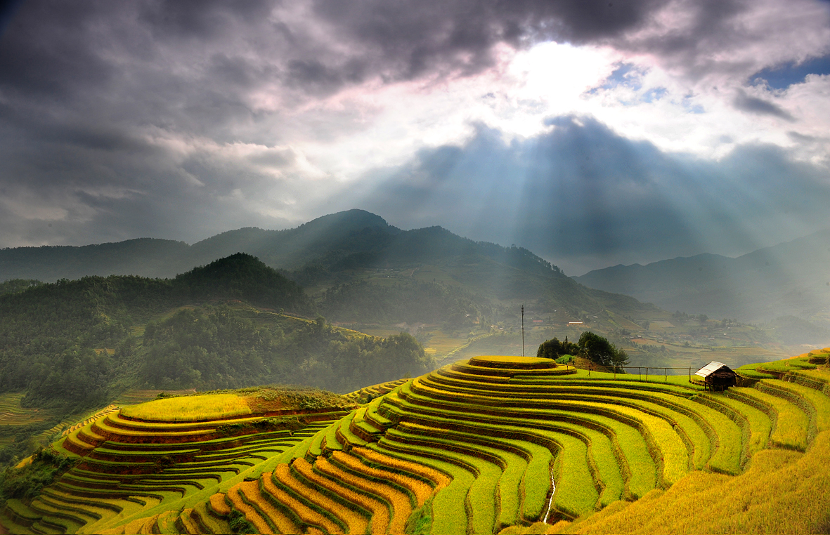 Hoàng Su Phì nổi tiếng với những thửa ruộng bậc thang tuyệt đẹp