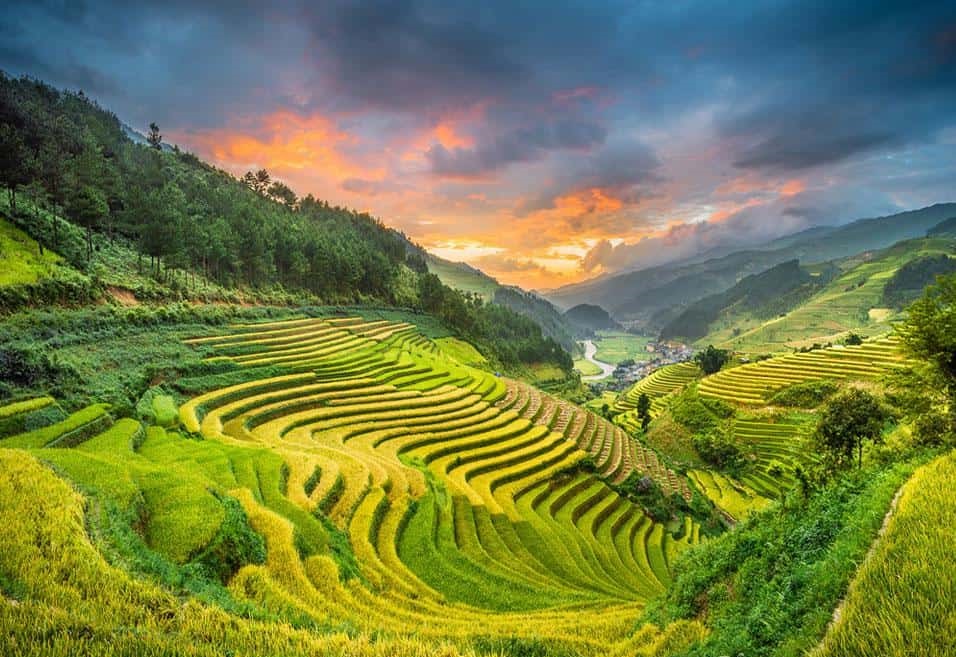 Cánh đồng Mường Than