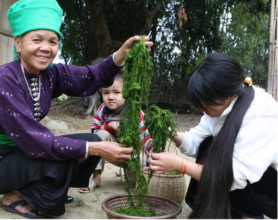 Rêu đá nướng là một món ăn khá đặc biệt
