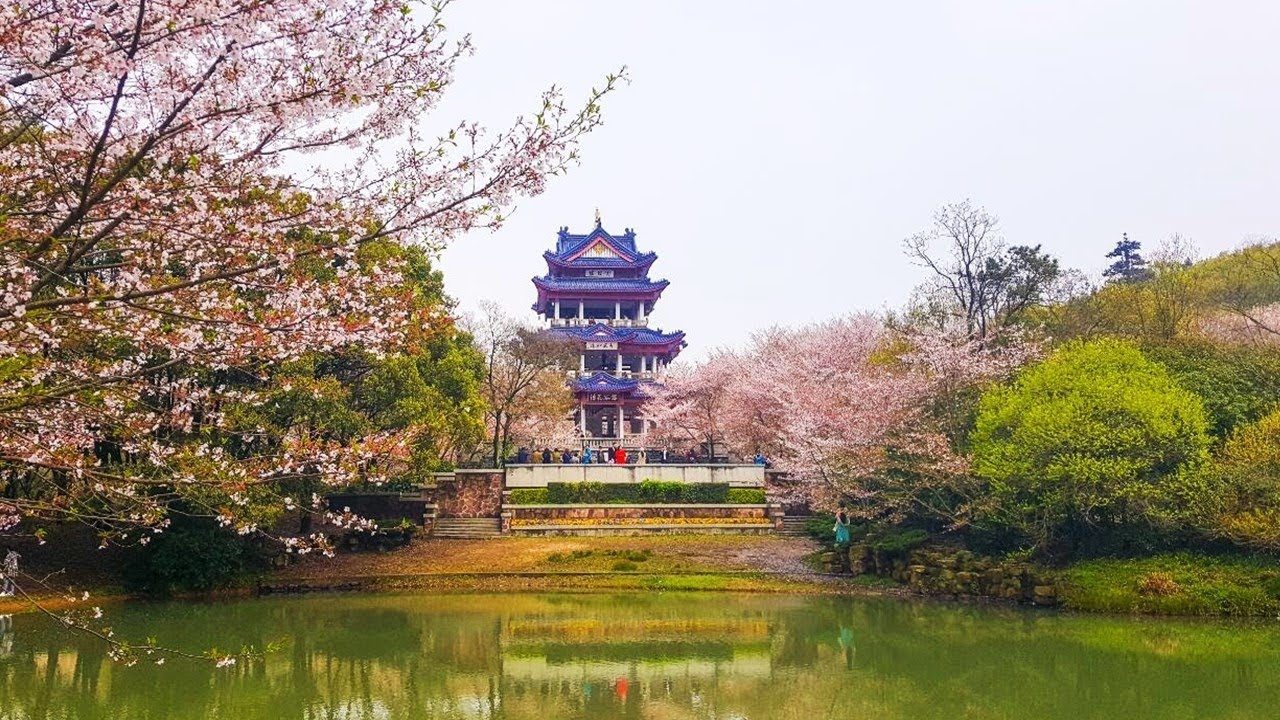 Kinh nghiệm du lịch Vô Tích
