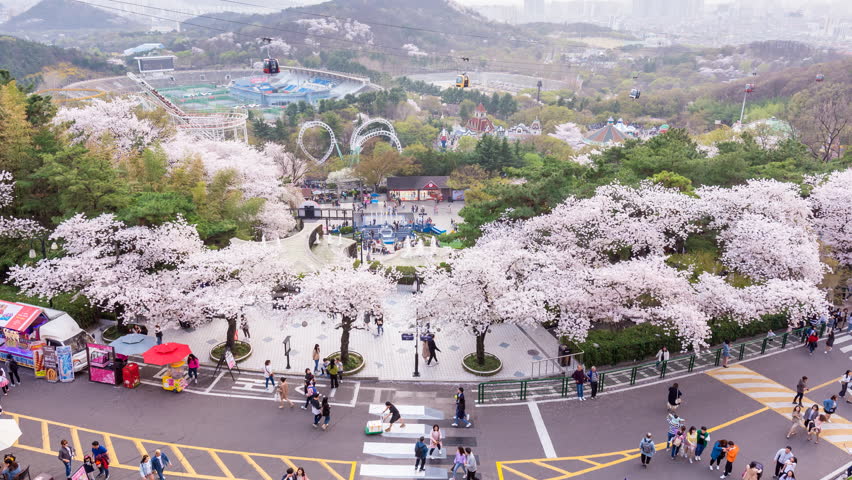 kinh nghiệm du lịch Daegu