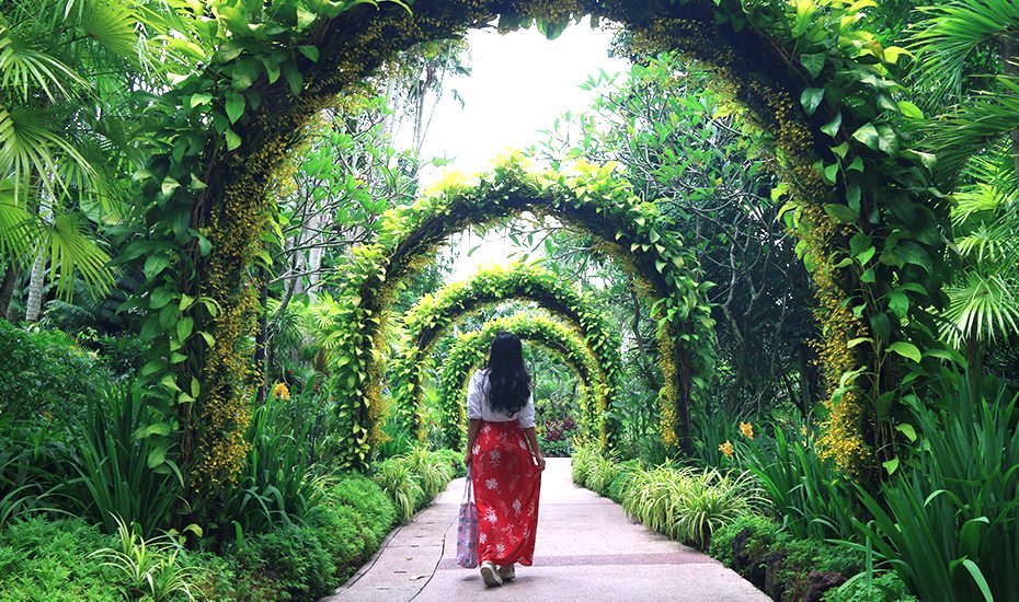 kinh nghiệm tham quan Botanic Garden