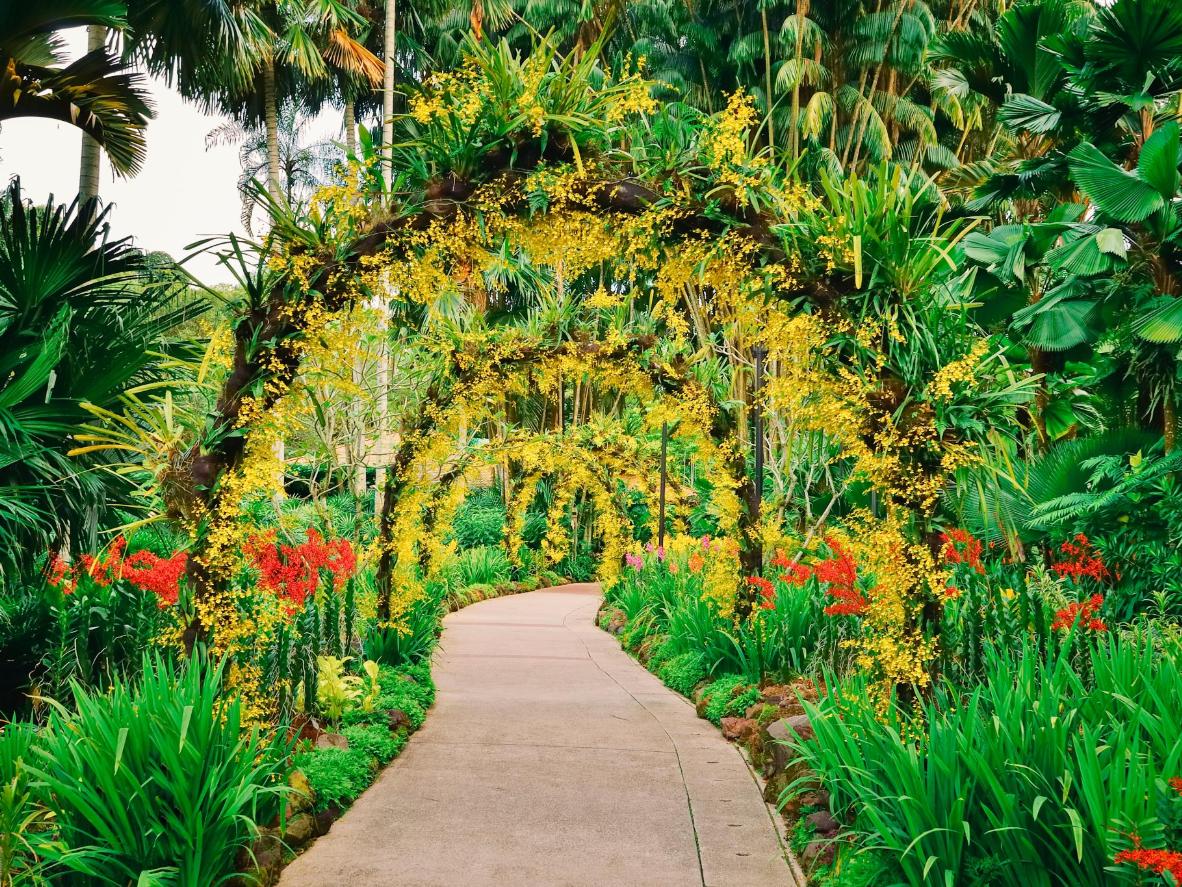 kinh nghiệm tham quan Botanic Garden
