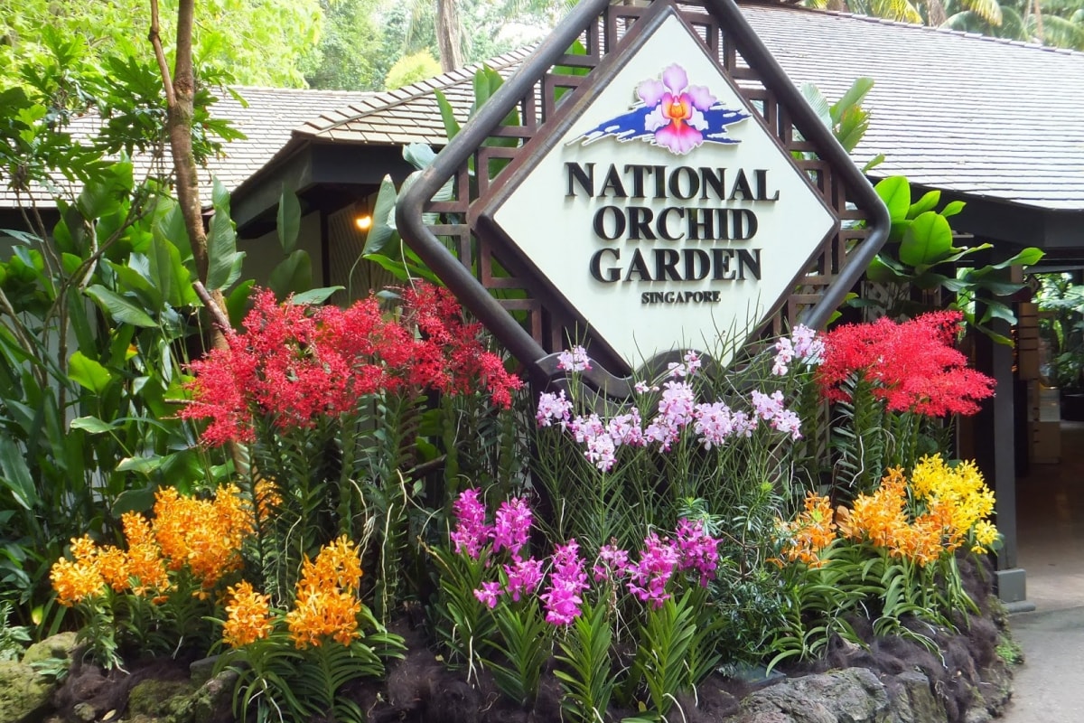 Vườn lan quốc gia (National Orchid Garden)