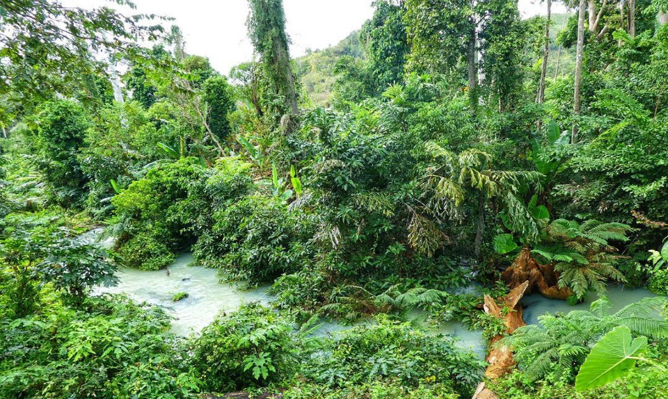 Experience visiting Yok Don National Park