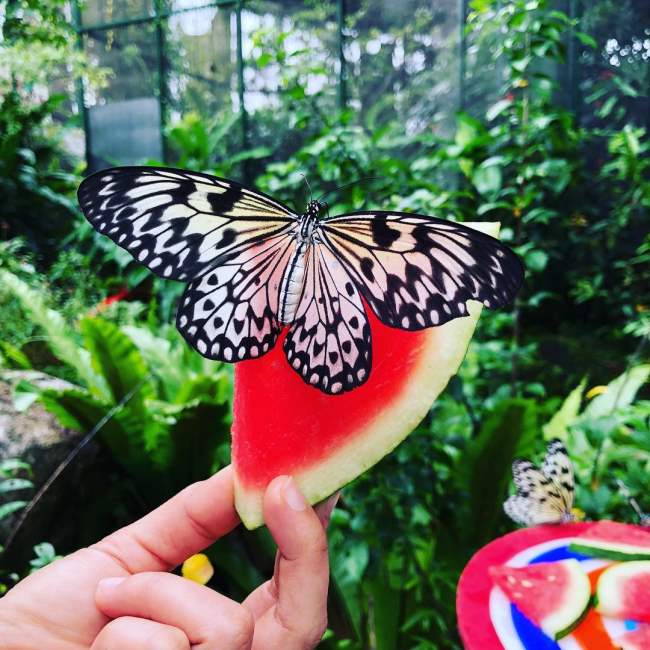 dia diem du lich noi tieng tai Sentosa