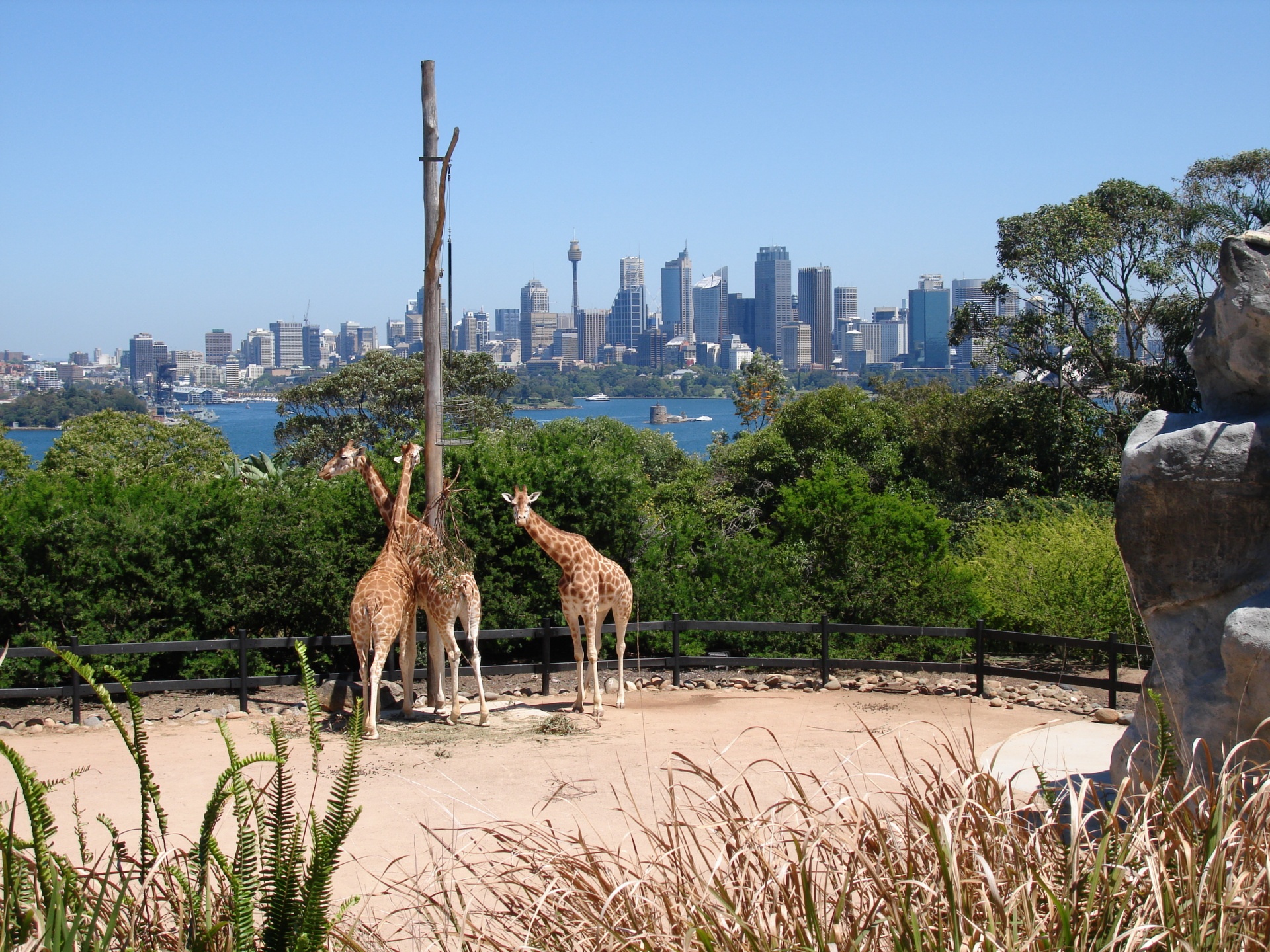 dia diem du lich noi tieng tai Sydney