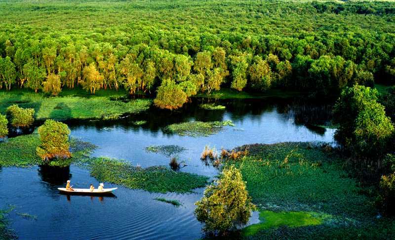 U Minh Ha National Park