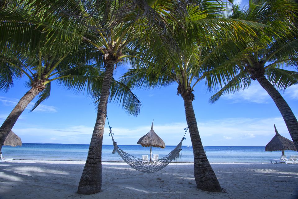kinh nghiem du lich Bohol