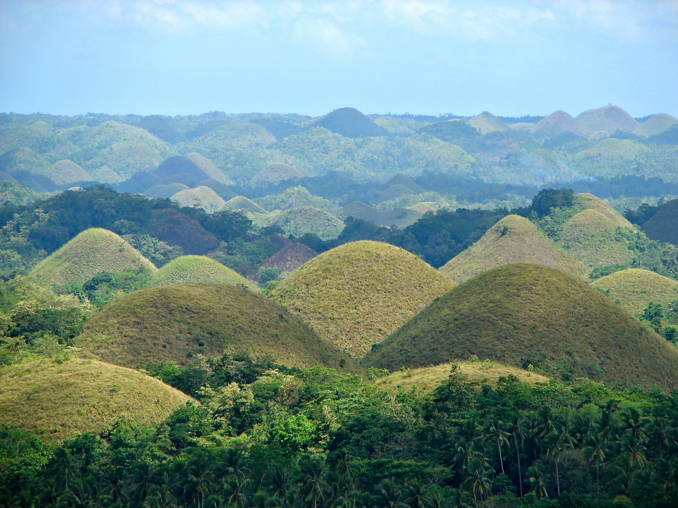 kinh nghiem du lich Bohol
