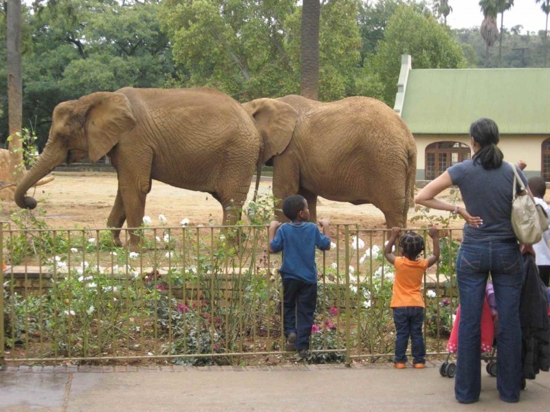 kinh nghiem du lich Pretoria