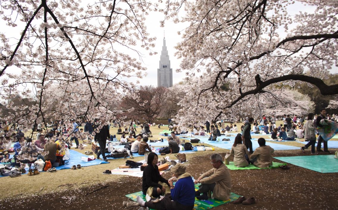 nhung dia diem ngam hoa anh dao dep nhat tai Tokyo