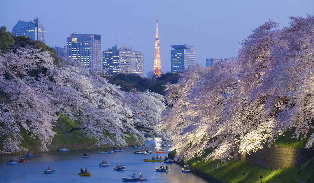 nhung dia diem ngam hoa anh dao dep nhat tai Tokyo