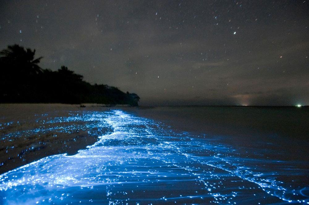 trai nghiem thu vi tai Maldives