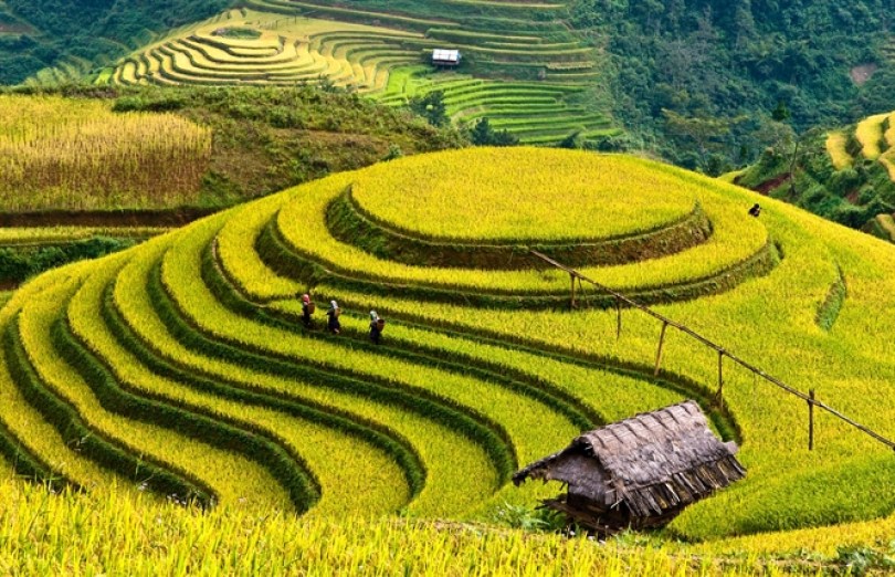 Boys and girls in Sapa