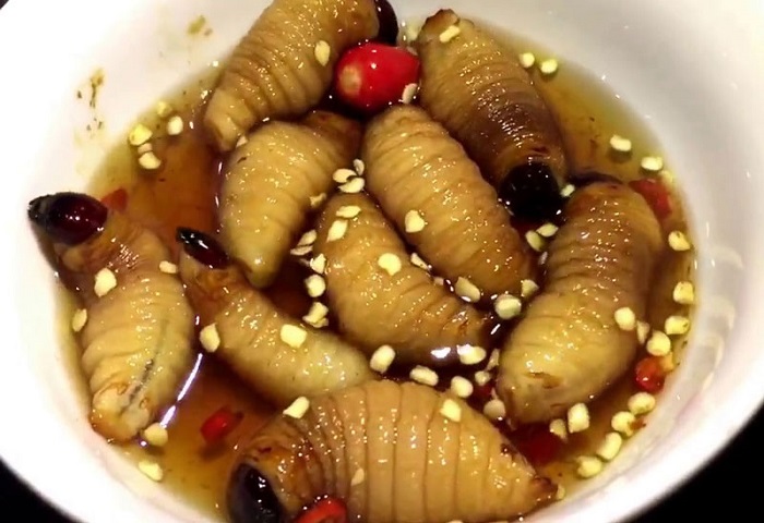 những món ăn kinh dị nhất Việt Nam