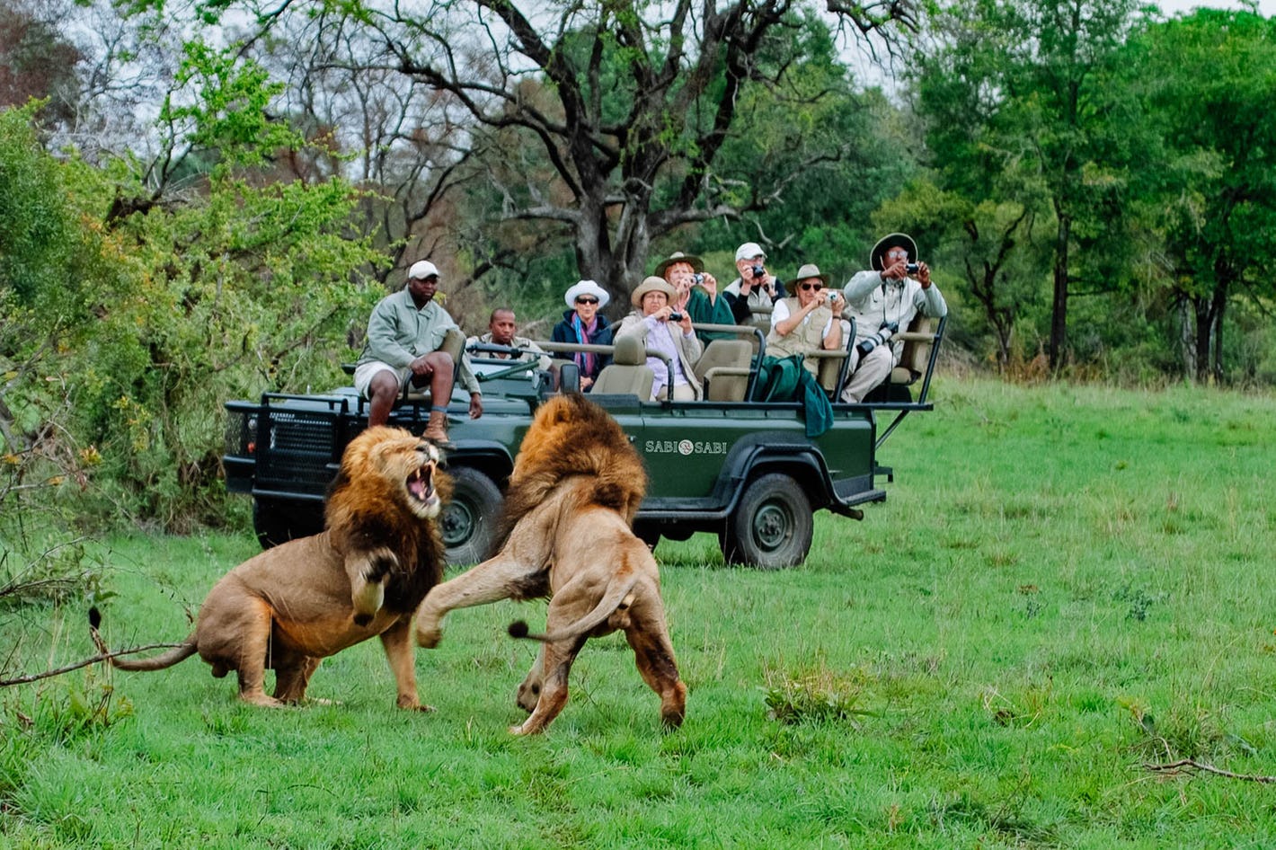 du lịch vườn quốc gia Kruger