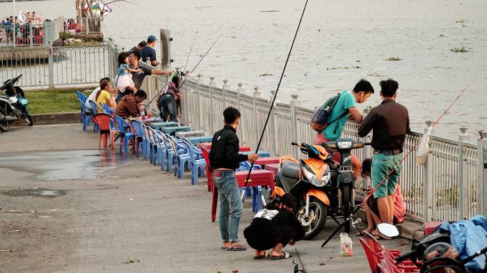 câu cá nóc hầm thủ thiêm 