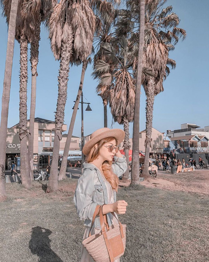 Ghé bãi biển Venice khi du lịch Mỹ