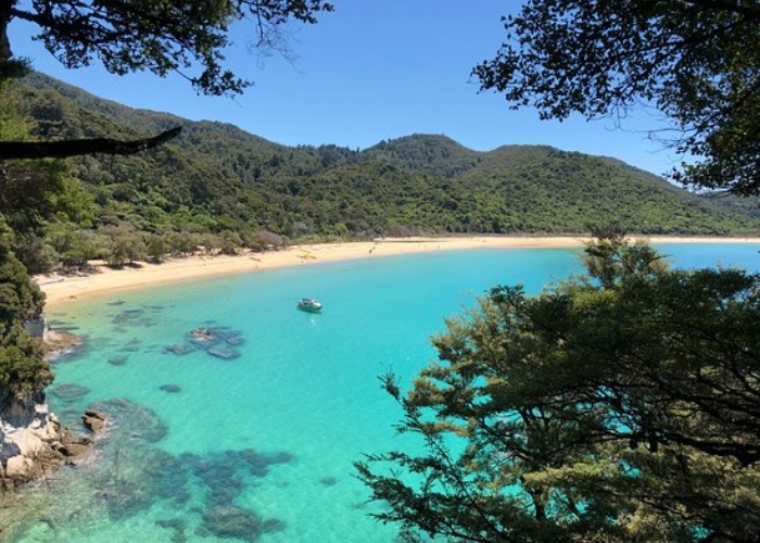 Du lịch New Zealand - Abel Tasman là một nơi lý tưởng cho những ai yêu thích thiên nhiên