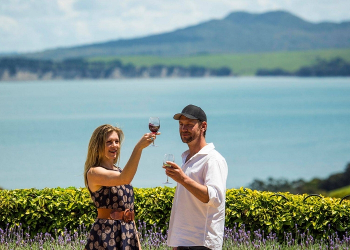 Du lịch New Zealand - Thưởng thức rượu vang tại đảo Waiheke là một trải nghiệm thú vị