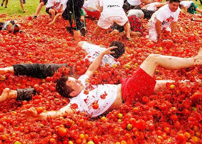 Du lịch Tây Ban Nha - Lễ hội cà chua Tomatina là lễ hội hàng năm của Tây Ban Nha